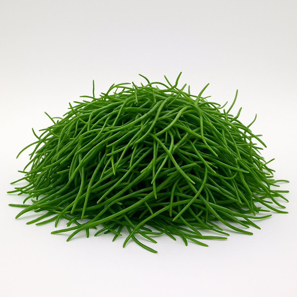 ChatGPT Image 2025년 5월 20일 오후 03_39_23.png