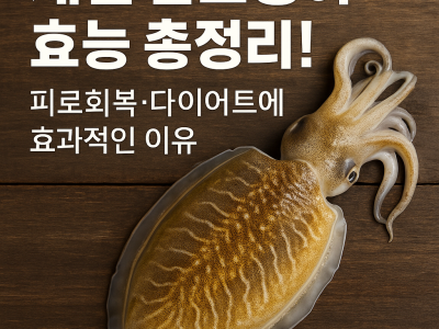 2025년 5월 9일 오후 02_25_33.png