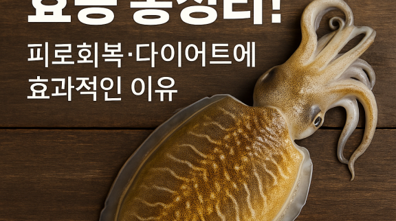 2025년 5월 9일 오후 02_25_33.png