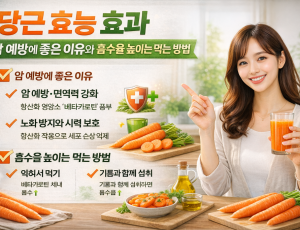 ChatGPT Image 2026년 3월 9일 오전 10_03_58.png