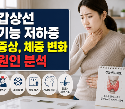 ChatGPT Image 2026년 5월 20일 오후 02_39_29.png width: 100%; height : 150px