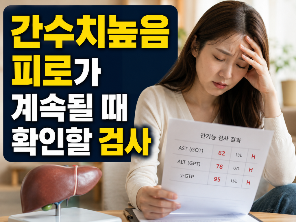간수치높음, 피로가 계속될 때 먼저 확인해야 할 간기능검사 ChatGPT Image 2026년 7월 4일 오후 03_35_57.png