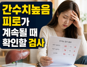 ChatGPT Image 2026년 7월 4일 오후 03_35_57.png