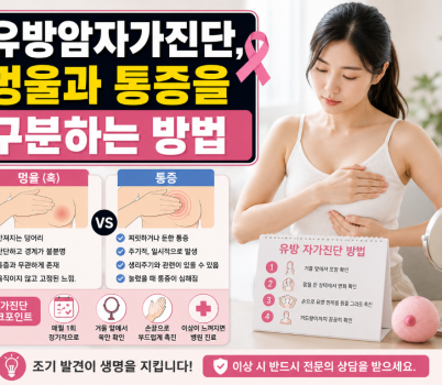 ChatGPT Image 2026년 7월 21일 오후 08_14_47.png width: 100%; height : 150px