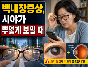ChatGPT Image 2026년 8월 9일 오후 02_12_09.png