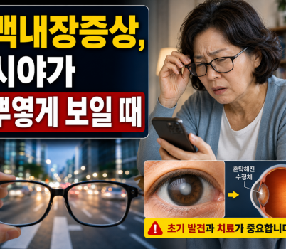 ChatGPT Image 2026년 8월 9일 오후 02_12_09.png width: 100%; height : 150px