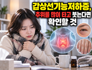 ChatGPT Image 2026년 9월 11일 오후 12_28_57.png